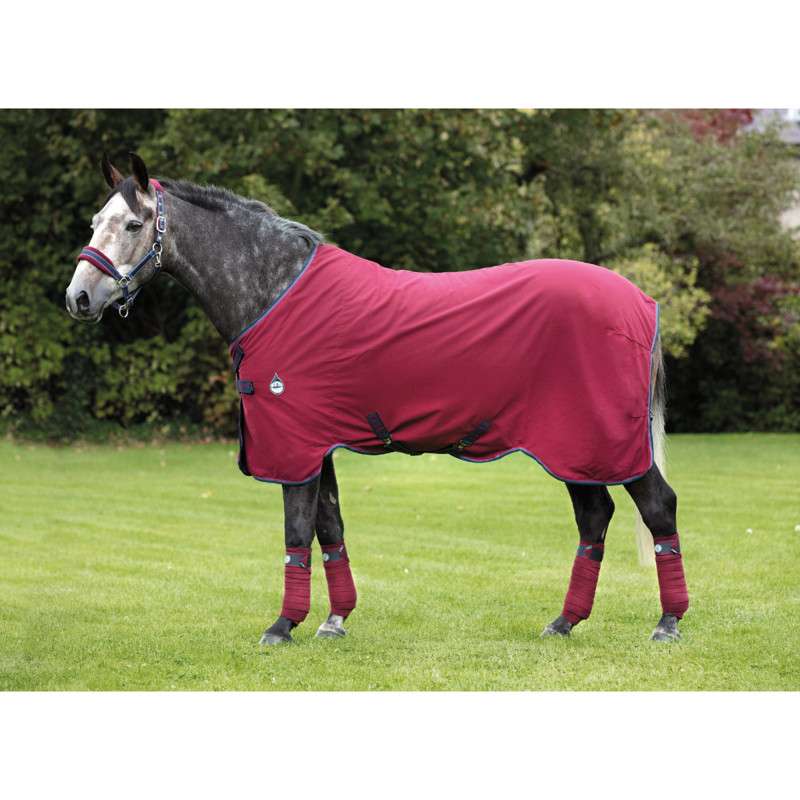 Horseware Rambo Helix Stable Sheet Disc -  Burgundy/Burgundy/Teal/Navy
